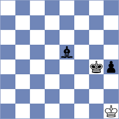 McShane - Wahls (Playchess.com INT, 2004)