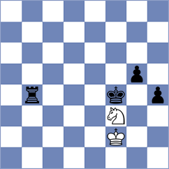 Shapiro - Diaz Perez (chess.com INT, 2024)