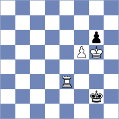 Bykov - Shevchuk (chess.com INT, 2024)