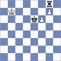 Djokic - Shevchenko (chess.com INT, 2024)